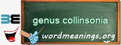 WordMeaning blackboard for genus collinsonia